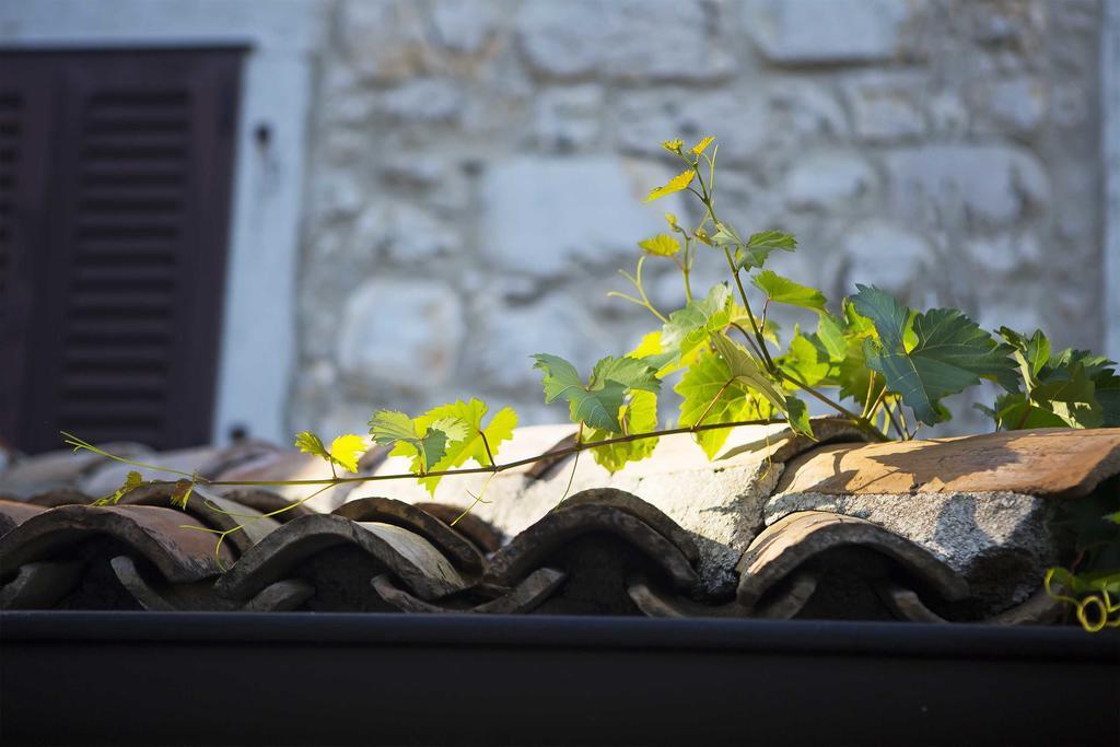Boutique Hotel Paradiso Filipini ภายนอก รูปภาพ